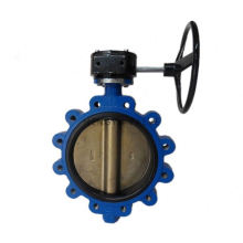 A variety of color optional gray iron butterfly valve